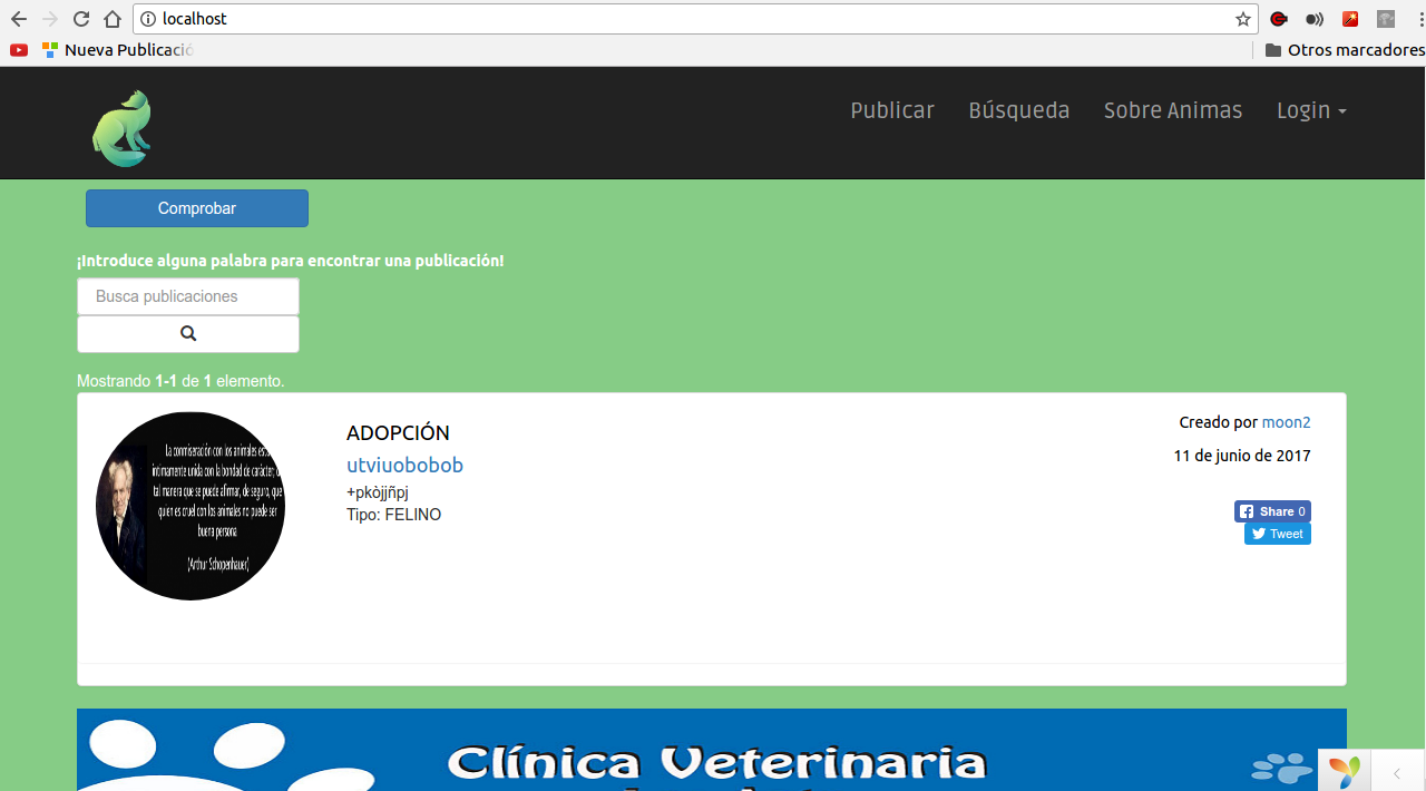 Comprobación Chrome